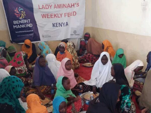 Weekly Feed - Image 2