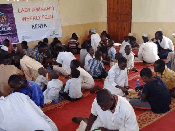 Weekly Feed - Image 3