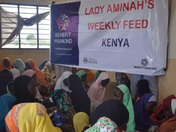 Weekly Feed - Image 4