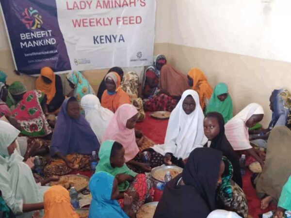 Weekly Feed - Image 5